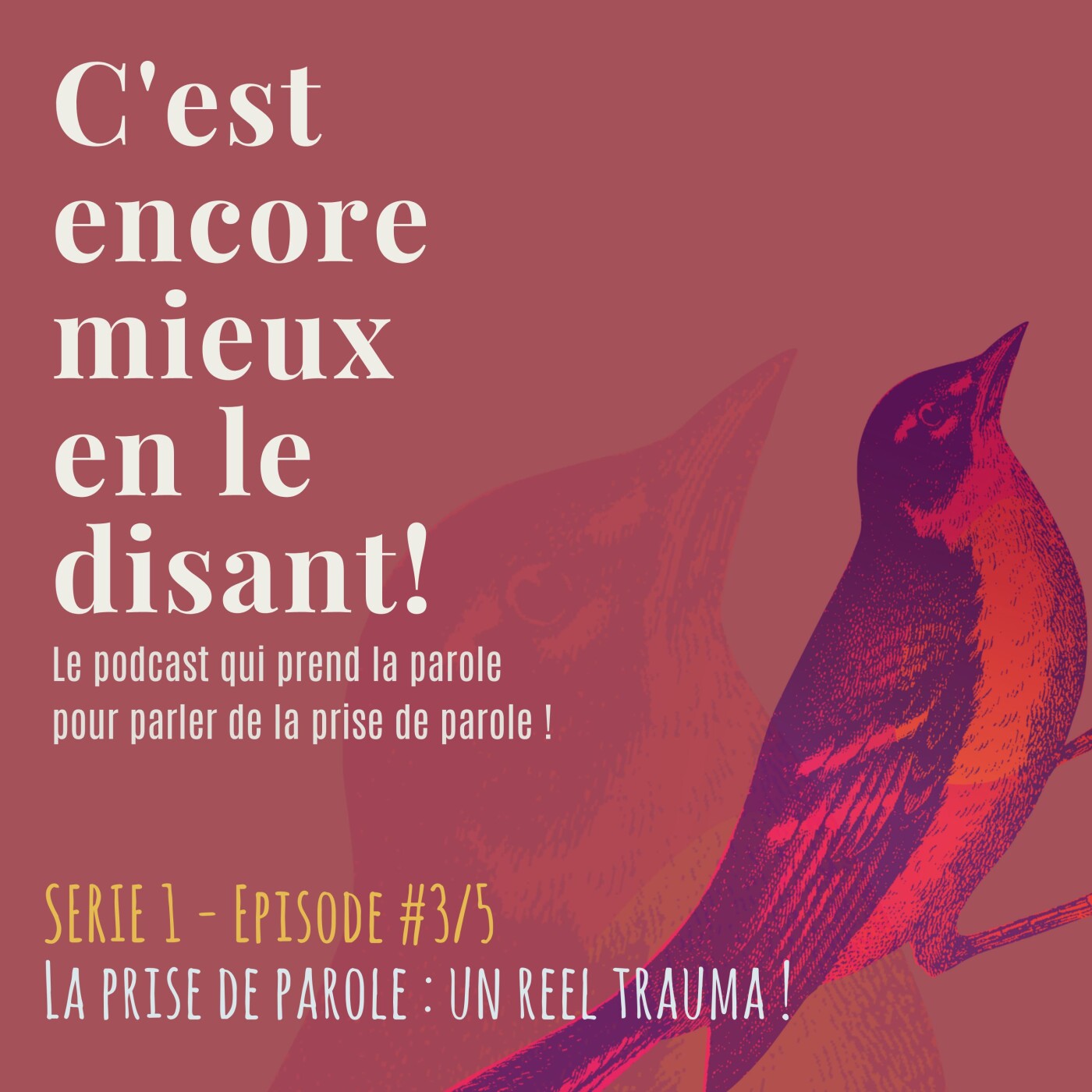 Serie 1- Episode 3/5 : La prise de parole : un réel trauma !
