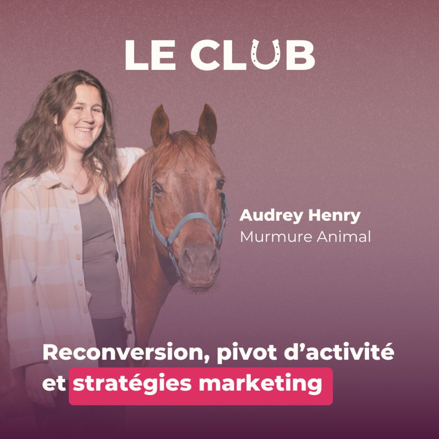 Le Club - Marketing Equestre