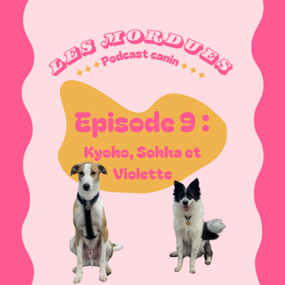 Episode 9 : Kyoko, Sokka et Violette cover