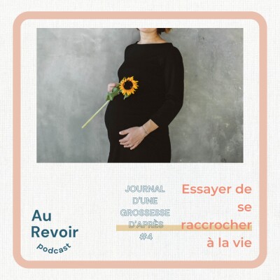 Journal d'une grossesse d'après #4 : Essayer de se raccrocher à la vie cover