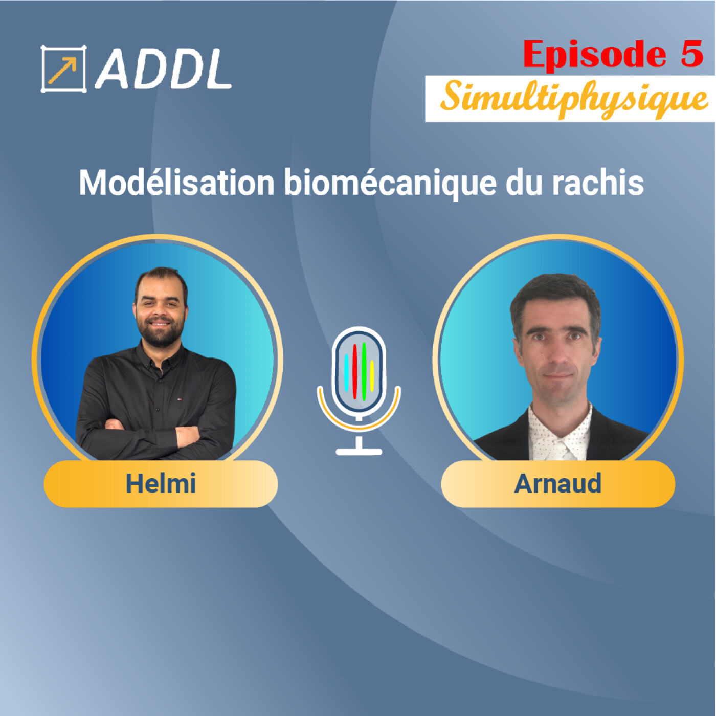 Modélisation biomécanique du rachis : enjeux cliniques, matériaux et jumeaux numériques