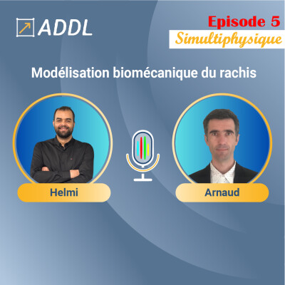 Modélisation biomécanique du rachis : enjeux cliniques, matériaux et jumeaux numériques cover