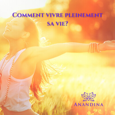 Comment vivre pleinement sa vie ? cover
