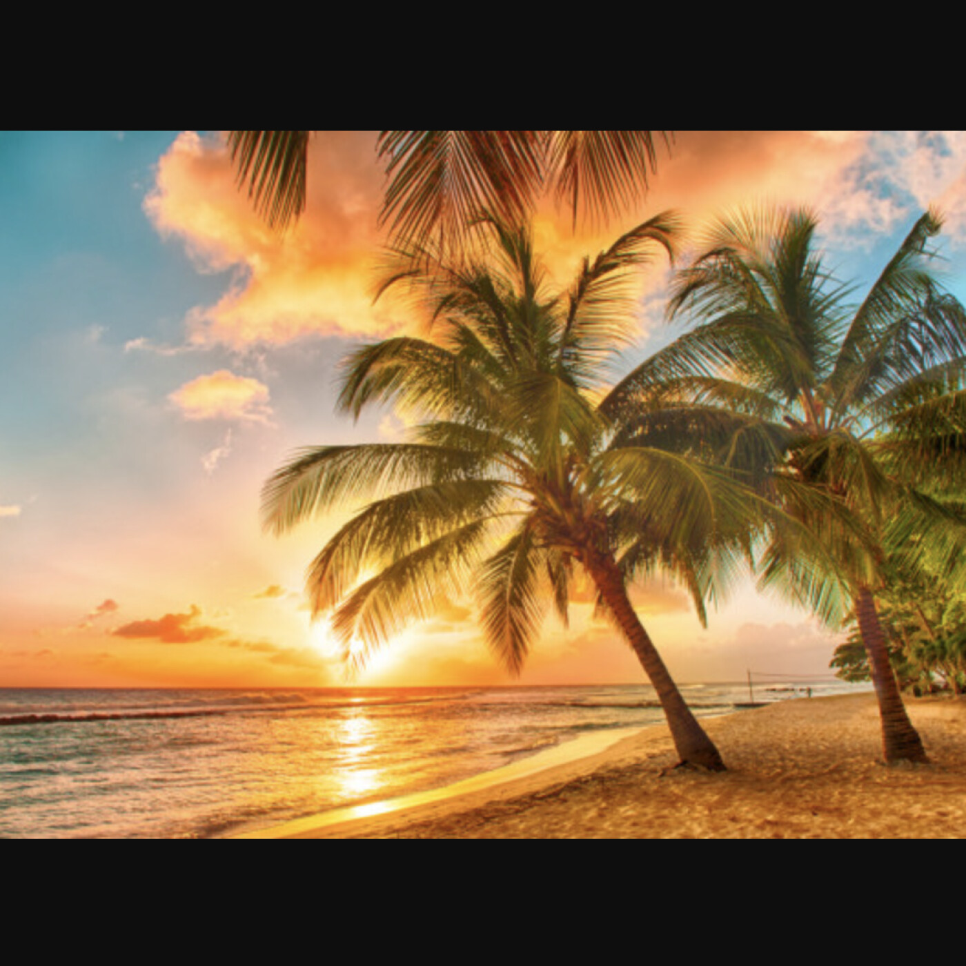 Musiques du soleil Martinique episode artwork
