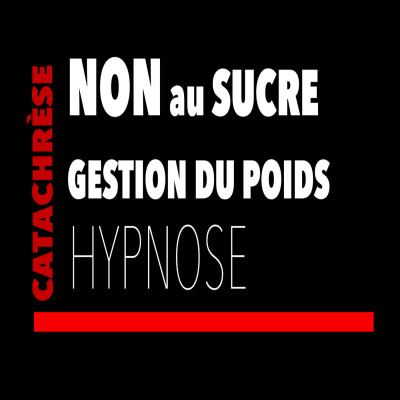 NON AU SUCRE | PERDRE DU POIDS cover