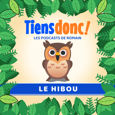Le hibou, le chasseur qu'on n'entend jamais cover