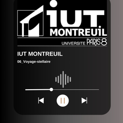 IUT:06_Voyage-stellaire cover