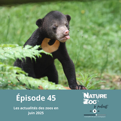 Épisode 45 (ACTU) - Les actualités en juin 2025 cover