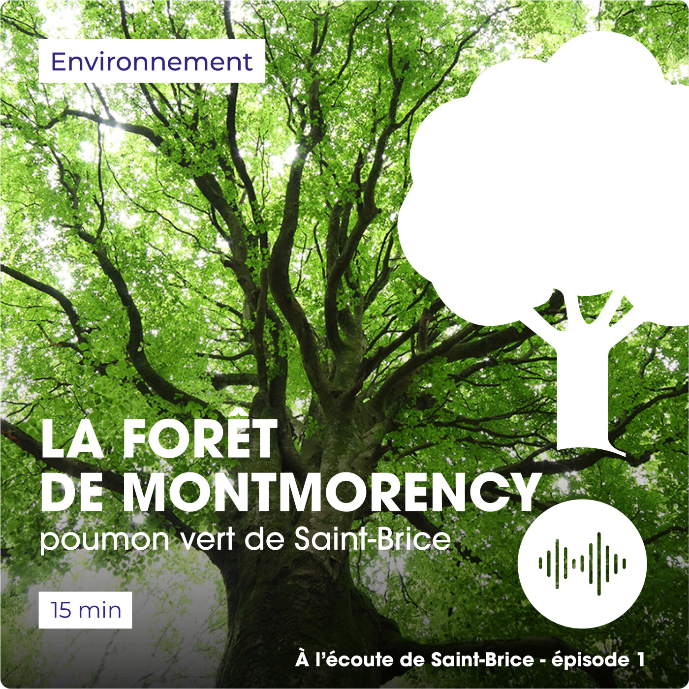 La forêt de Montmorency, poumon vert de Saint-Brice episode artwork