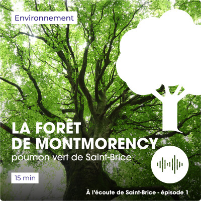 La forêt de Montmorency, poumon vert de Saint-Brice cover