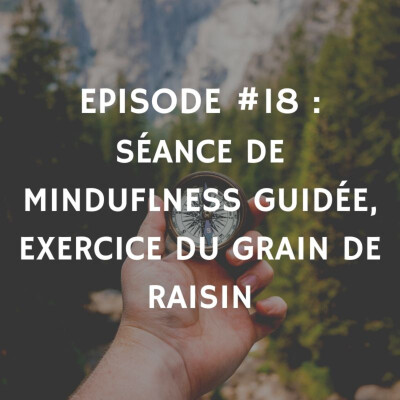 Séance guidée de pleine conscience - Exercice du grain de raisin cover