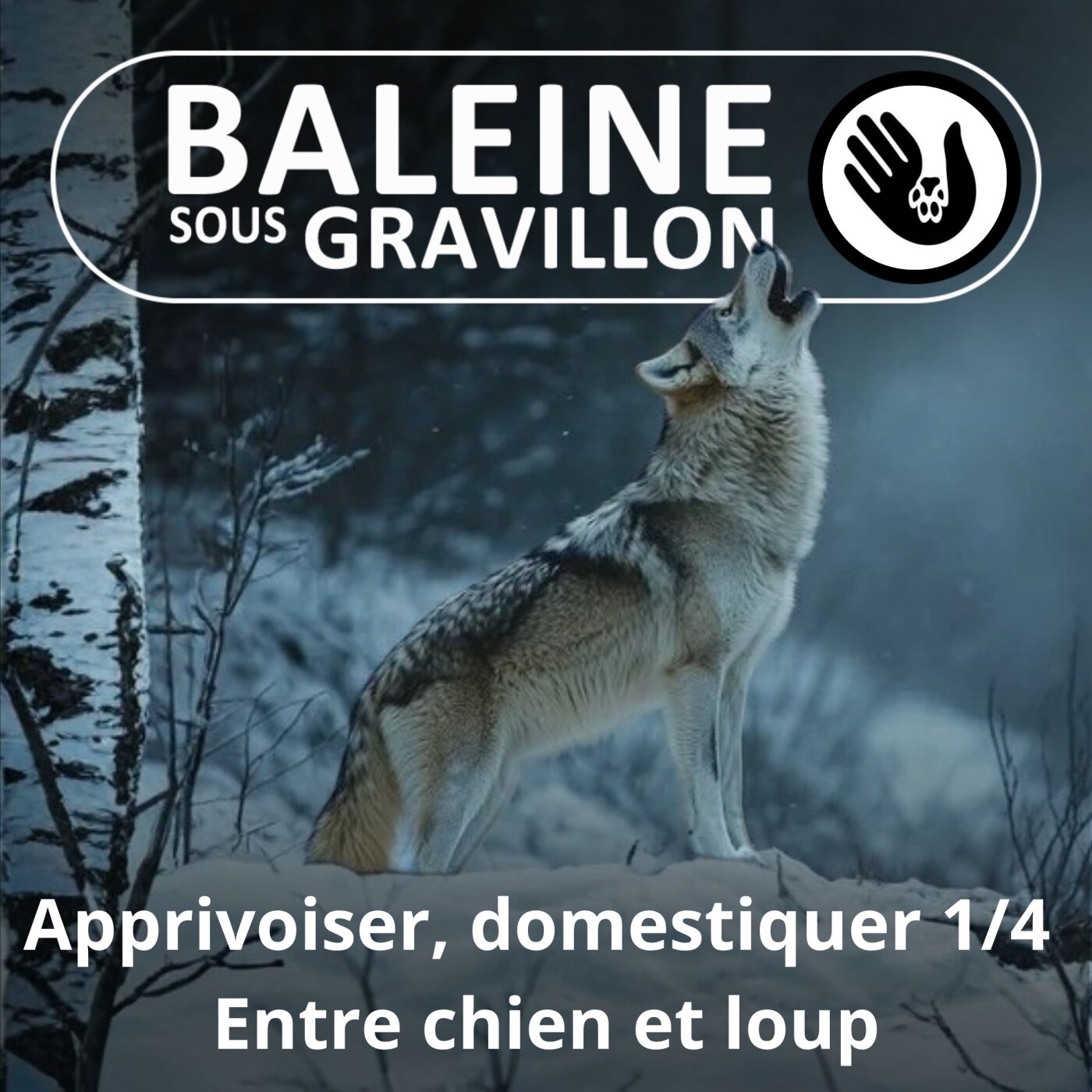 S07E169 Apprivoiser, domestiquer 1/4 : La première alliance episode artwork