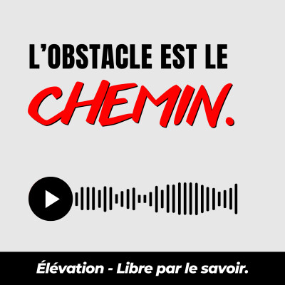 29. L'obstacle est le chemin (Ryan Holiday) - Résumé de livre cover