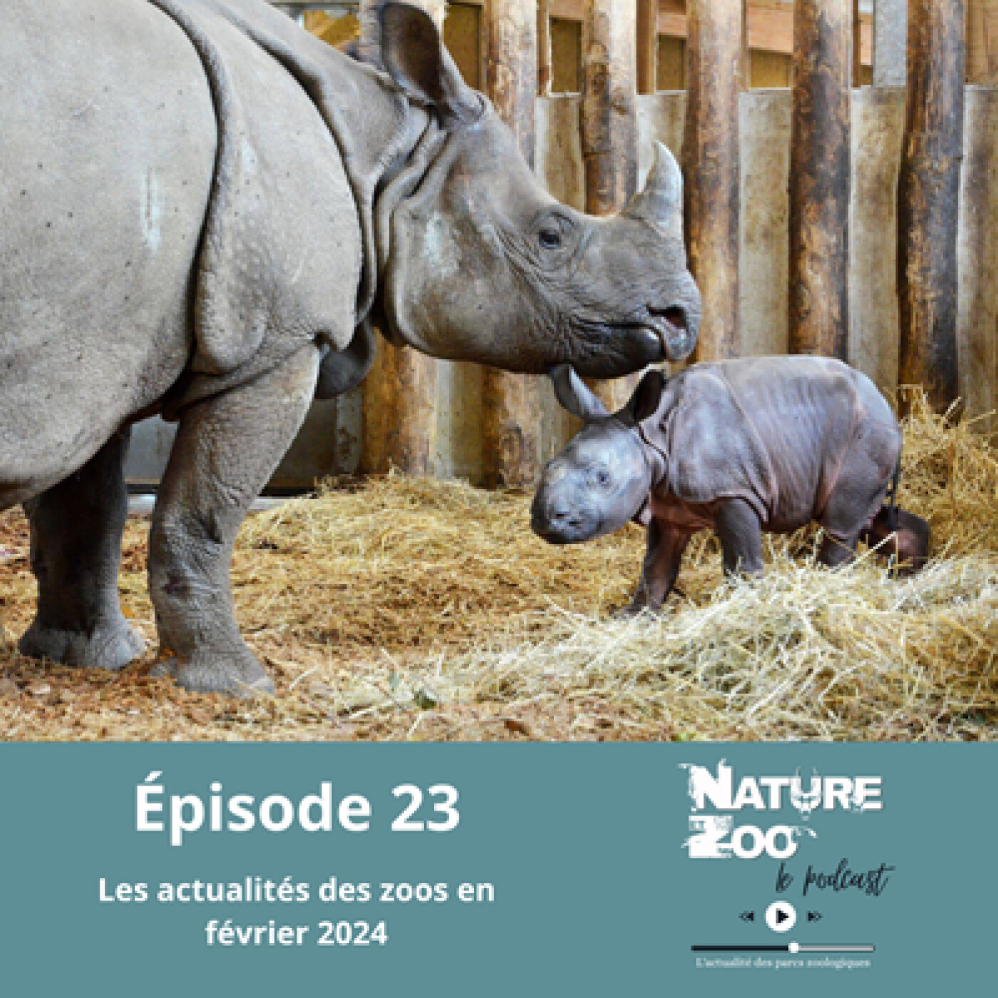 Épisode 23 (ACTU) - Les actualités en février 2024 episode artwork