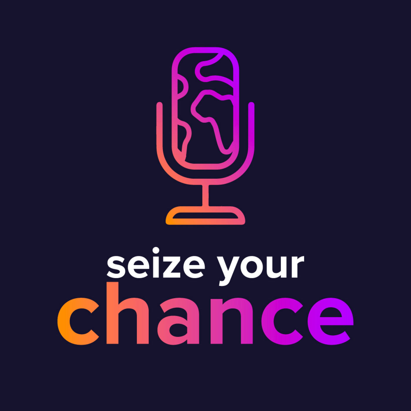 Seize Your Chance cover