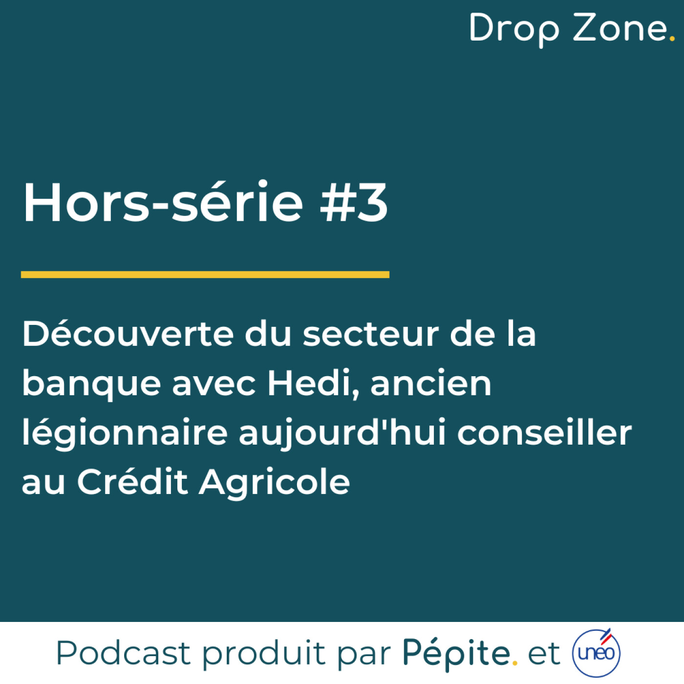 Drop Zone [Pépite. x Unéo]
