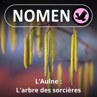 S02E24 L'Aulne : l'arbre des sorcières, des druides, des castors ... et de Jules Verne ! cover