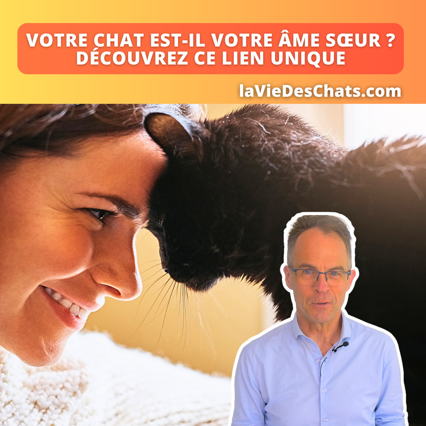 laVieDesChats