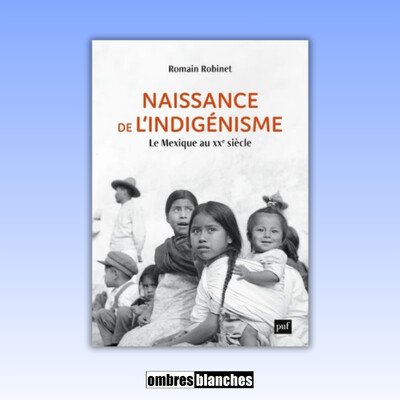 Romain Robinet → Naissance de l’indigénisme. Le Mexique au 20e siècle cover
