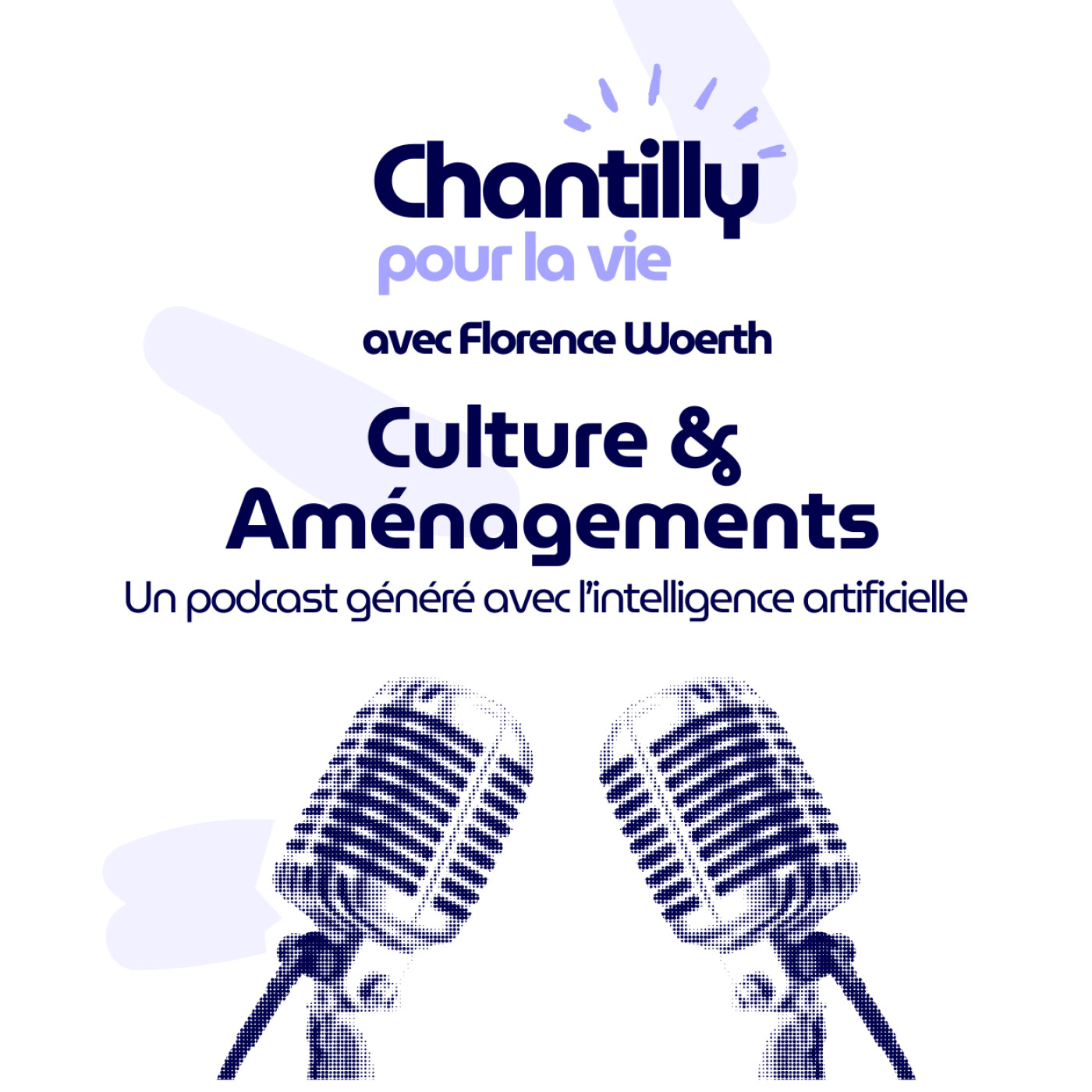 Episode 25 : réunion publique sur la culture & les aménagements episode artwork