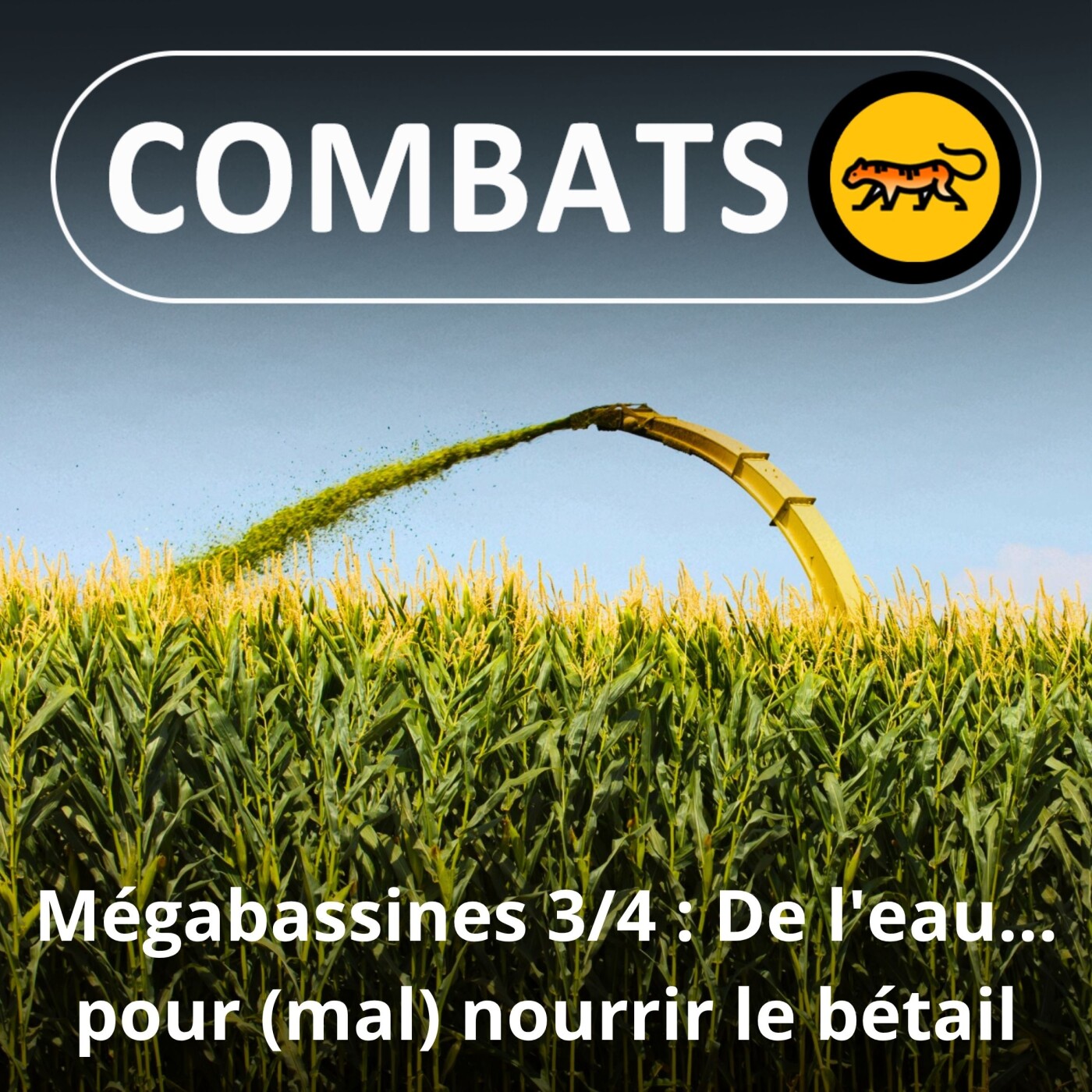 S02E68 Mégabassines 3/4 : De l'eau... pour (mal) nourrir le bétail (Benoît Biteau, paysan, député européen)