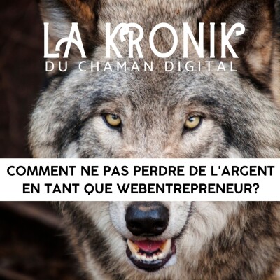 #33 Comment ne pas perdre de l'argent dans le webentreprenariat? cover