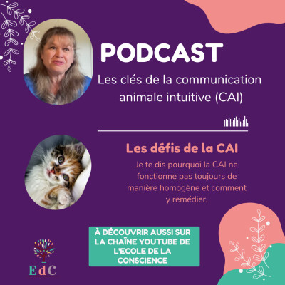 Épisode 01 : Les défis de la CAI cover