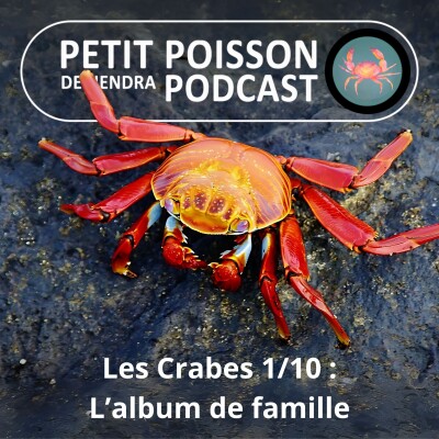 S04E31 Les Crabes : L'album de famille cover