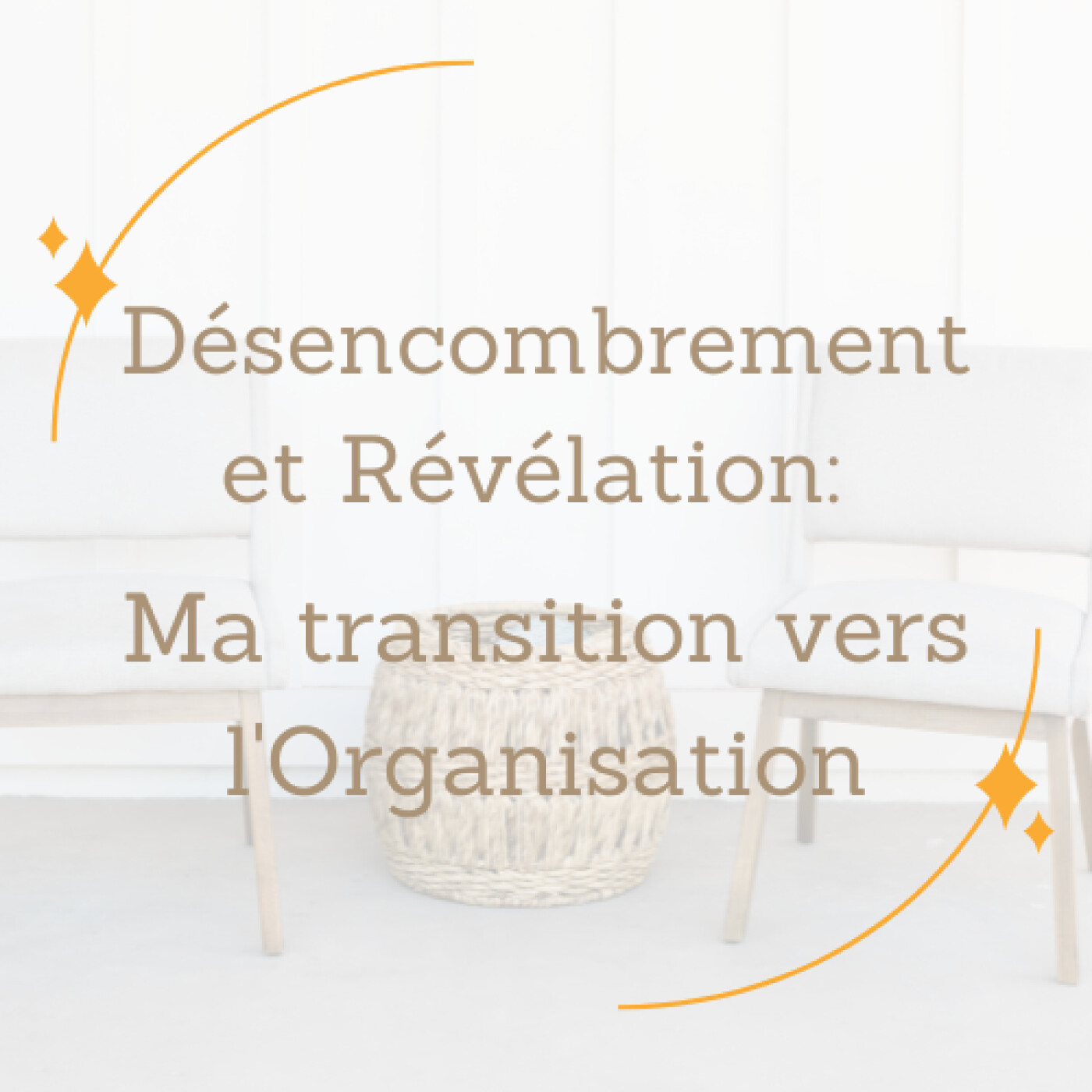 #31 - Désencombrement et Révélation: Ma Transition Vers l'Organisation