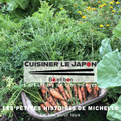 LES PETITES HISTOIRES DE MICHELLE - Le bio pour tous cover
