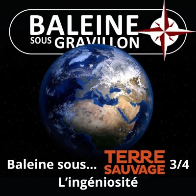 HORS-SÉRIE Baleine sous... Terre Sauvage 3/4 : L'ingéniosité cover