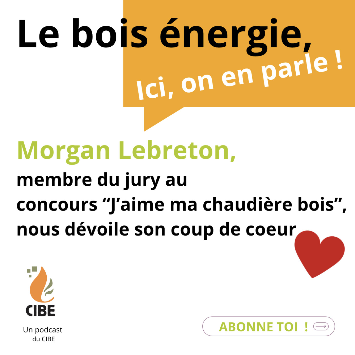 De l'élagage au chauffage : pas possible de faire plus local !