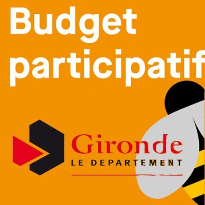 L'épopée du 1er budget participatif Girondin. - Forum Jeunesse cover