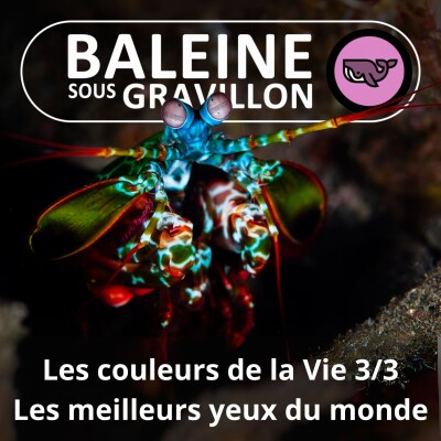 S07E20 Les couleurs de la Vie 3/3 : Quel animal a les yeux les plus perfectionnés du monde ? (Frédéric Archaux) cover
