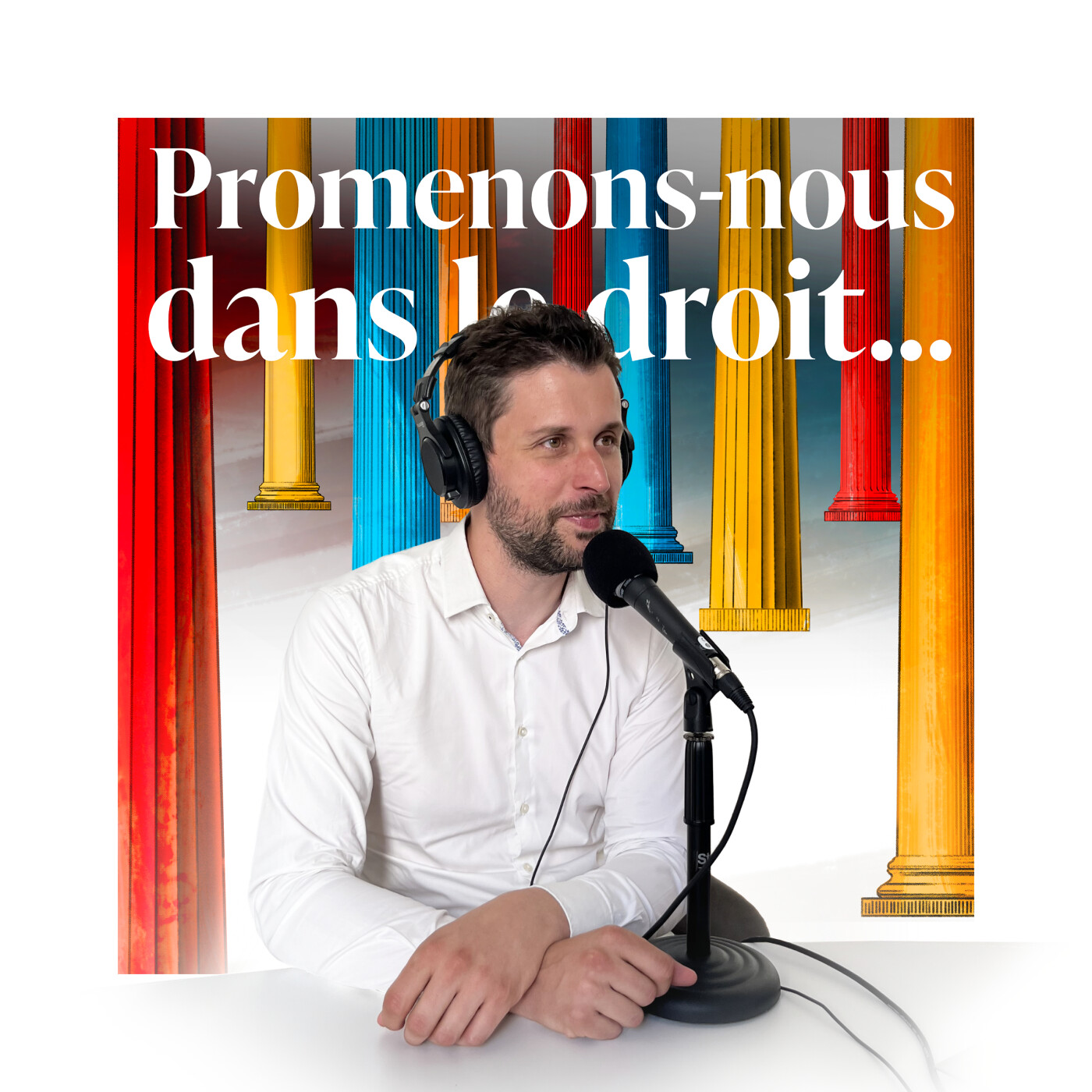 Episode 12 : Promenons-nous avec... Thibaut Larrouturou [la procédure devant la CEDH] episode artwork