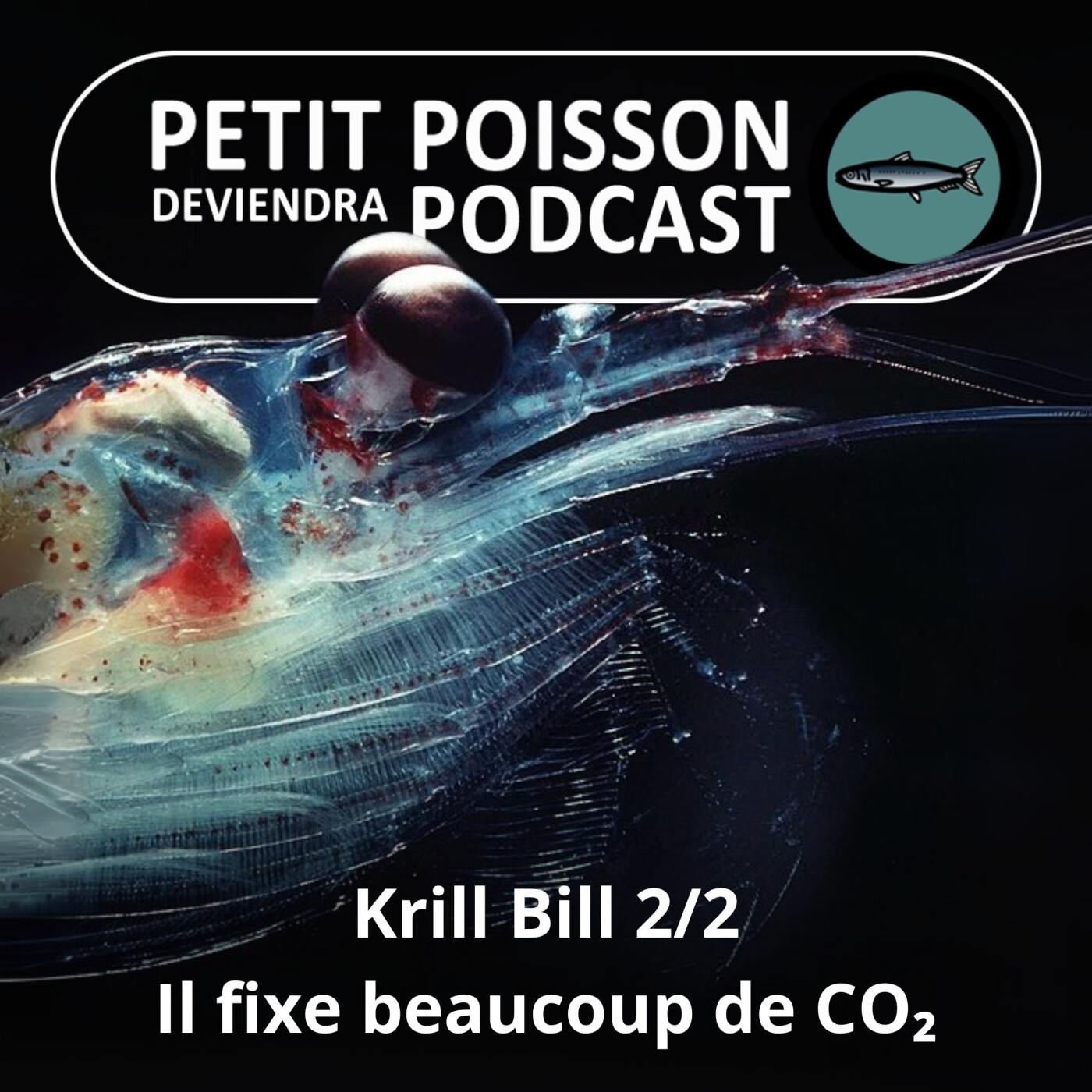 S03E39 Krill Bill 2/2 : Son rôle méconnu dans la fixation du CO₂ (Bill François) episode artwork