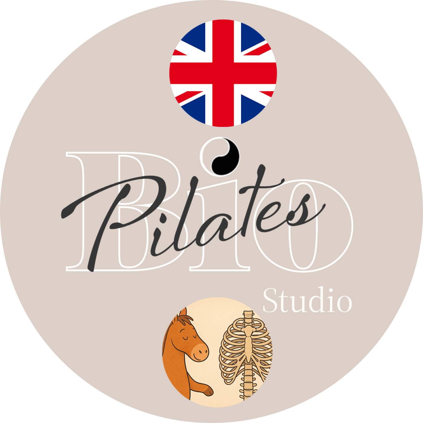 🇬🇧 🐴  The Rib Cage Placement : From Stable Anchor to Galloping Sail episode artwork