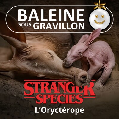 STRANGER SPECIES 8/12 : L'Oryctérope, 1/4 kangourou, 1/4 cochon, 1/4 lapin... et 1/4 bulldozer ! cover