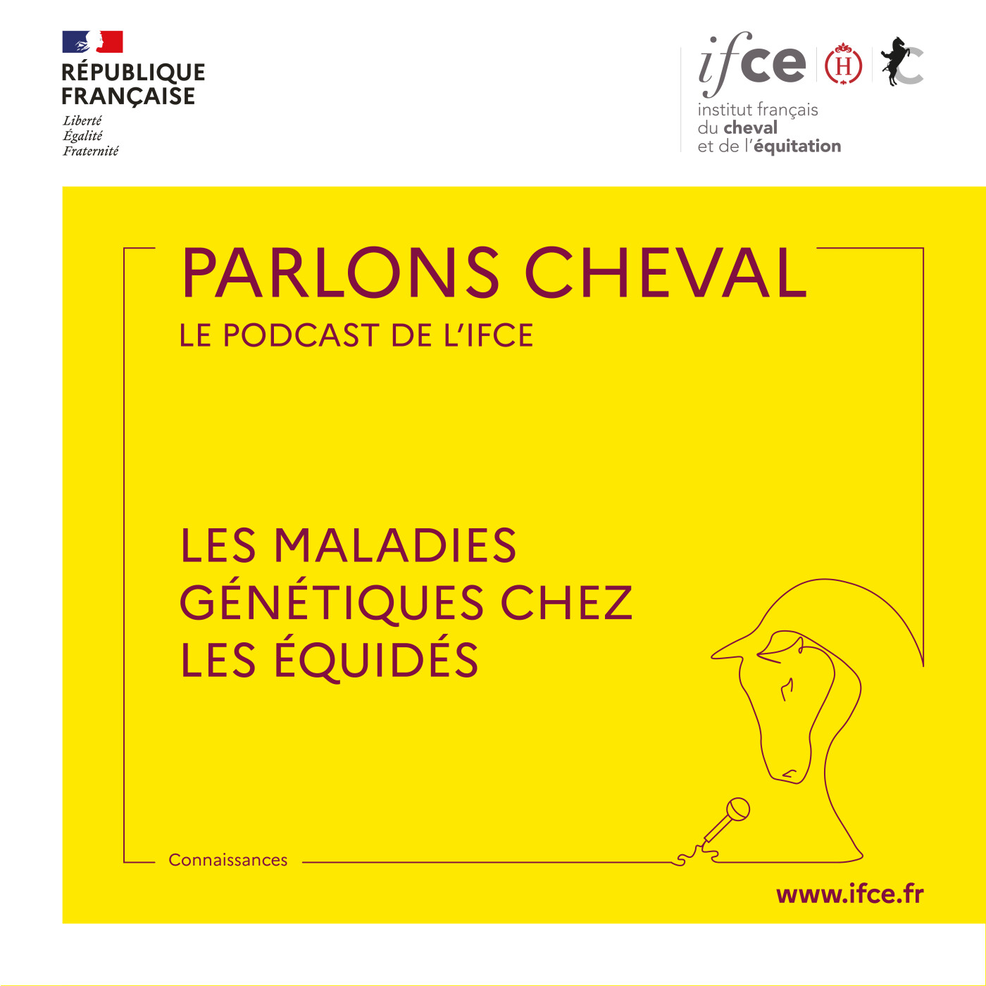 Les maladies génétiques chez les équidés - Margot Sabbagh