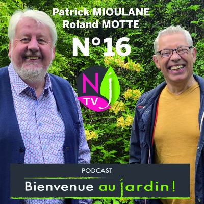 EMISSION #16 du 3 JUILLET 2021- L'INTEGRALE cover