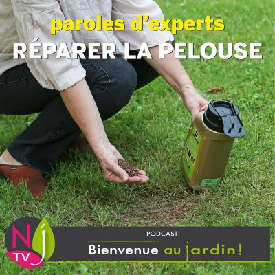PAROLES D'EXPERTS:COMMENT RÉPARER UNE PELOUSE ABÎMÉE ? cover