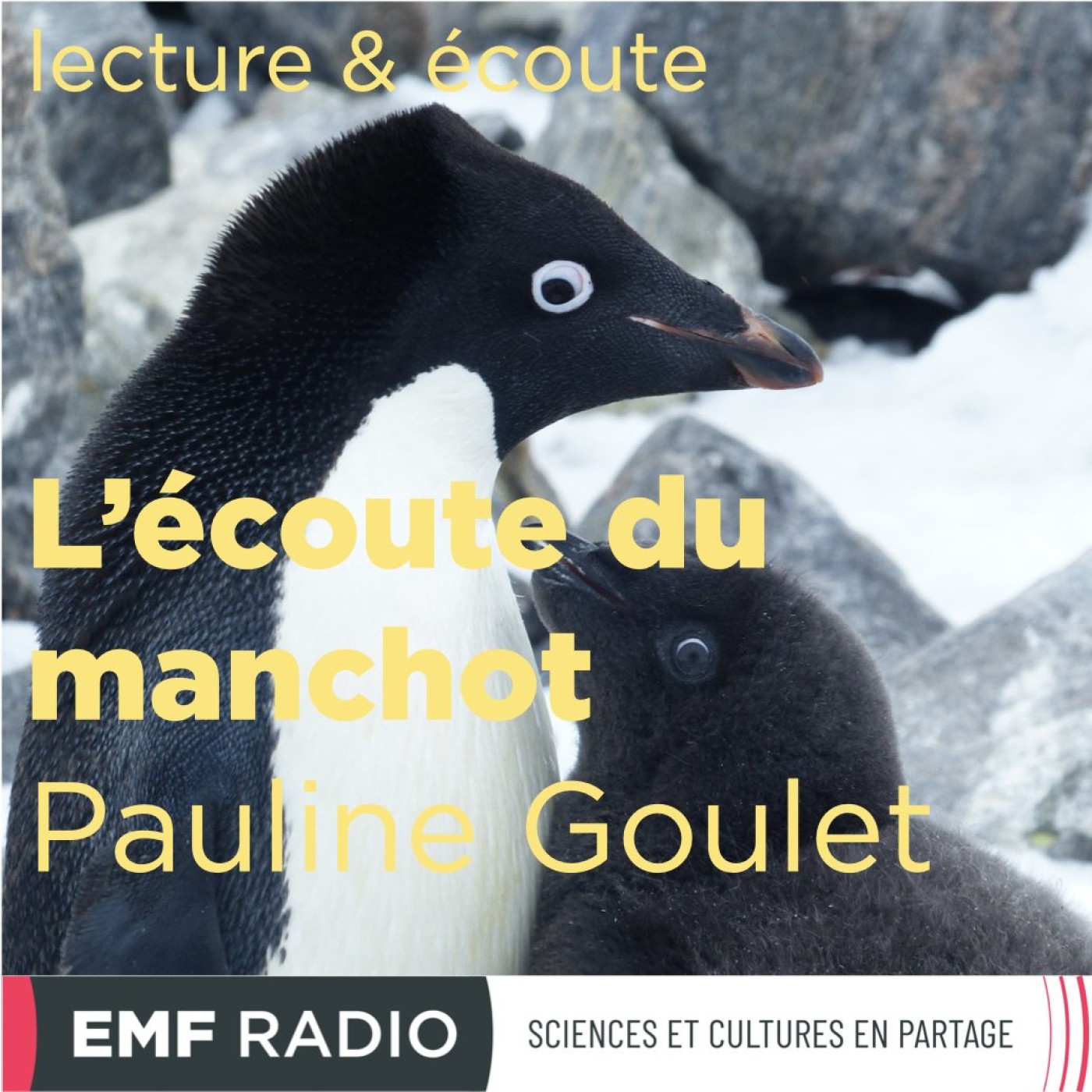 Lecture & écoute