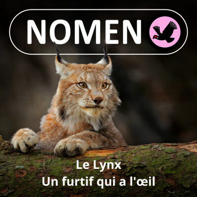 S01E17 Le Lynx : Bobcat, Pardelle, Loup-cervier, un furtif qui a l'œil... cover