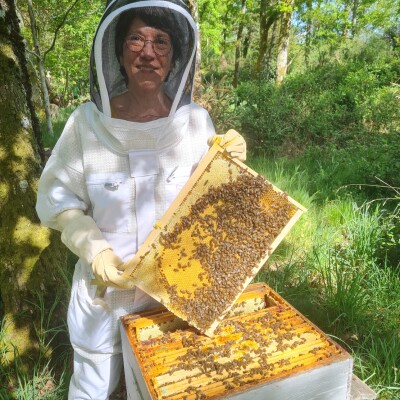 🎧 [Un métier, une passion] Reconversion professionnelle : elle quitte tout pour devenir apicultrice (miel du Limousin) cover
