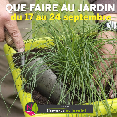 QUE FAIRE DANS LE JARDIN DU 17 au 24 SEPTEMBRE ? cover