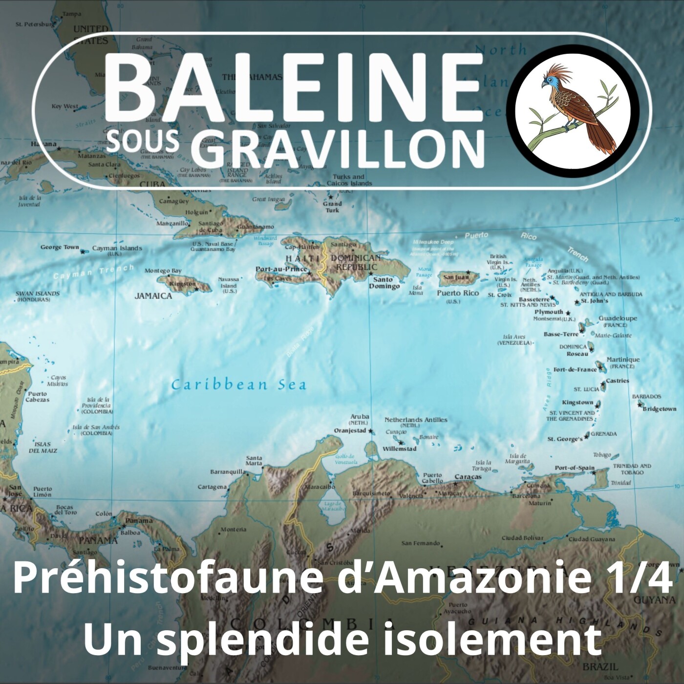 S05E46 Faune préhistorique d'Amazonie 1/4 : Un splendide isolement episode artwork