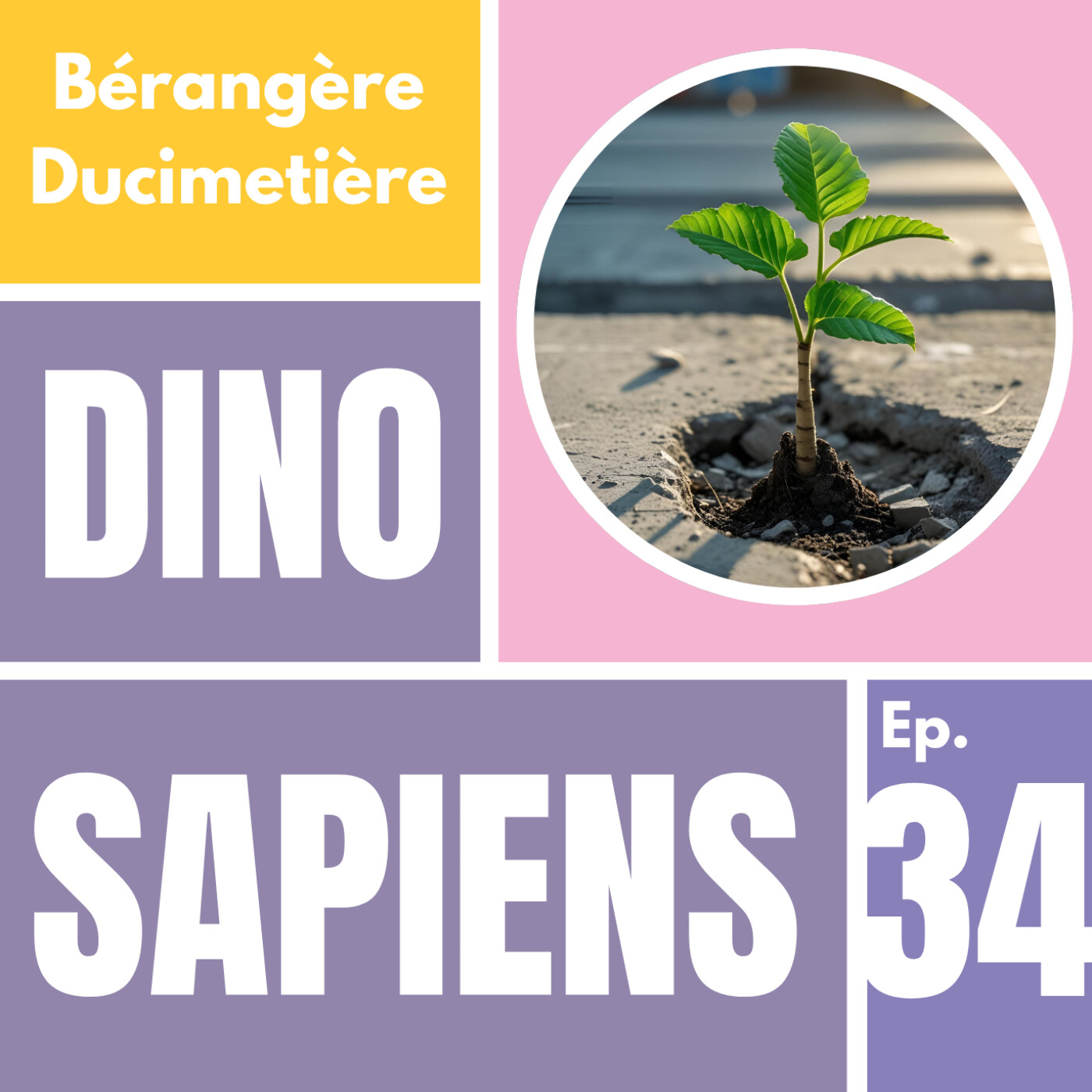 Dino Sapiens - le podcast des organisations en mutation