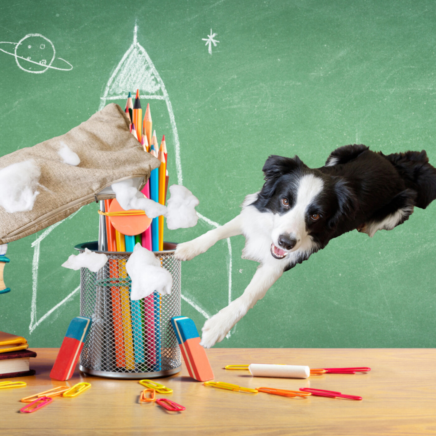 Le Chien Teddy et les Bêtises du Cœur Solitaire | Histoire sur l'Adoption et la Patience