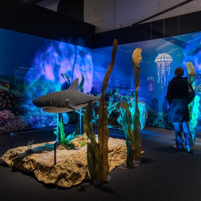 Cap sur l’imaginaire brique après brique à Saint-Riquier ! cover