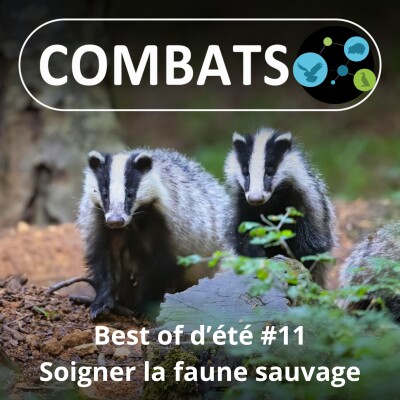 BEST OF D'ÉTÉ #11 : Soigner la faune sauvage 11/13 cover